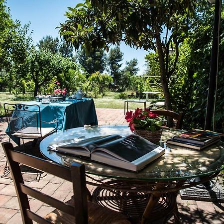 B&B Valle Allegra Гравина-ди-Катания Экстерьер фото