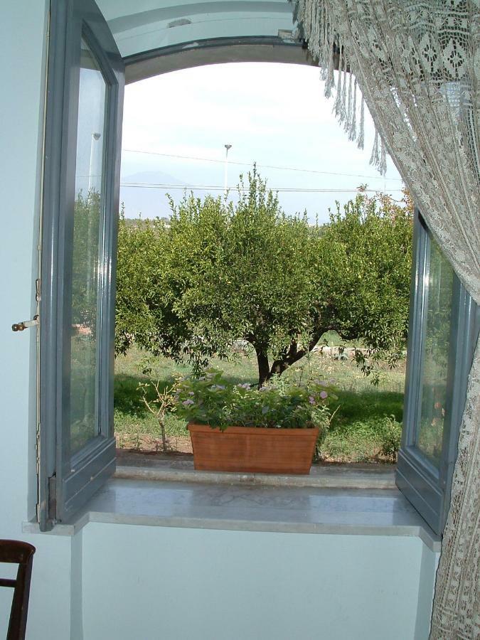 B&B Valle Allegra Гравина-ди-Катания Экстерьер фото